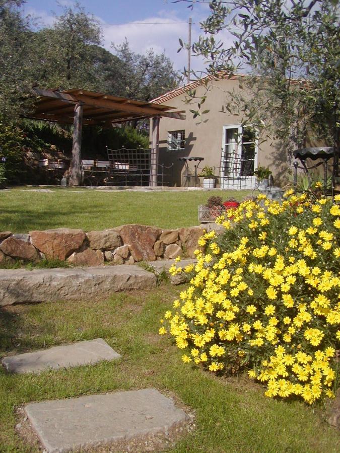 Settignano Tuscany Homes Εξωτερικό φωτογραφία