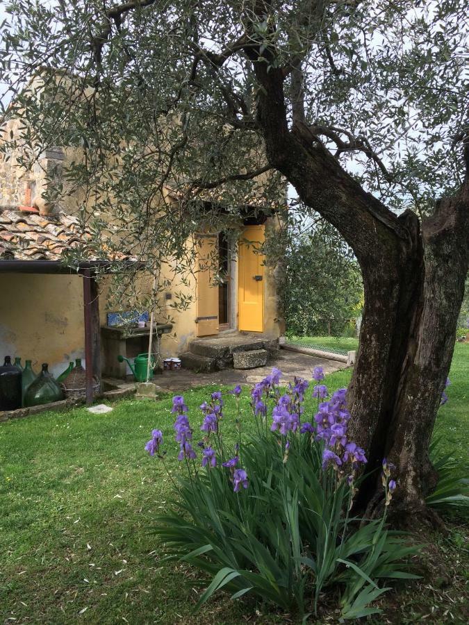 Settignano Tuscany Homes Εξωτερικό φωτογραφία